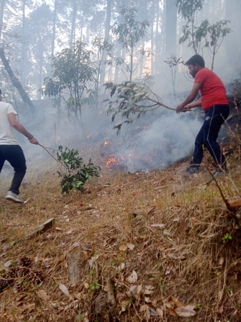 आग से धधक रहे हैं कालीमठ घाटी के जंगल, लाखों की वन संपदा स्वाहा