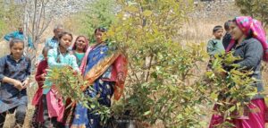 चमोली : पिलखी गांव के ग्रामीणों ने चिपको आंदोलन की 50वीं वर्षगांठ पर रक्षा सूत्र बांध कर लिया पेड़ों को बचाने का संकल्प
