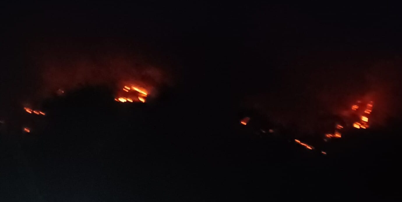 कोटद्वार रेंज में रात भर जलते रहे जंगल, पांच दिन बाद नही आग पर काबू
