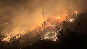 चमोली : सिरकाेट और बांसकोट के जंगलों में लगी भयानक आग, लाखों की वन संपदा राख