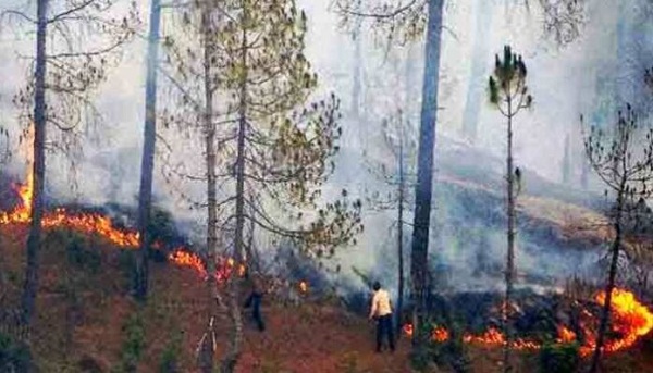पौड़ी गढ़वाल : जंगलों में आग लगाने वाले गिरफ्तार, मुकदमा दर्ज