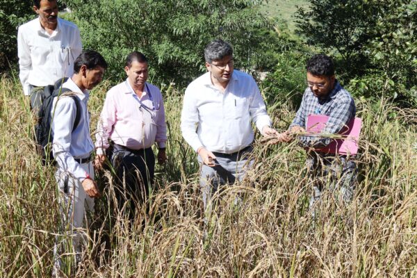 डीएम संदीप तिवारी ने गंगोलगांव में फसल कटाई प्रयोग का किया निरीक्षण