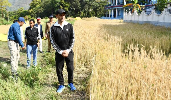 डीएम आशीष भटगांई ने भिटालगाँव में किसान दान सिंह के खेत में गेहूँ की क्रॉप कटिंग का किया निरीक्षण