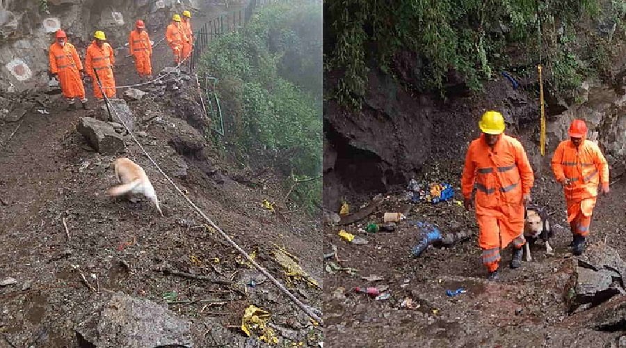यमुनोत्री यात्रा पर अस्थायी रो, पैदल मार्ग पर रेस्क्यू अभियान तीसरे दिन भी जारी