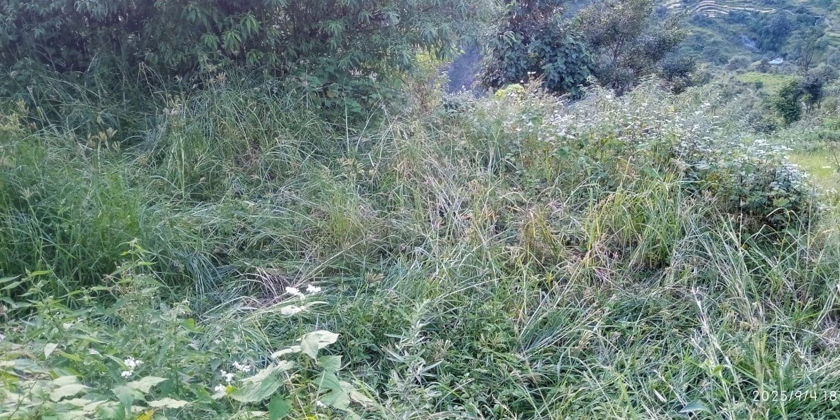 फसलों की सुरक्षा को लेकर लगे चैन फैसिंग