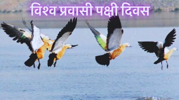 प्रवासी पक्षी : प्रकृति के आकाश यात्री और धरती के सच्चे राजदूत